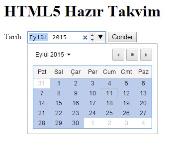 Html5 hazır takvim input type="month"